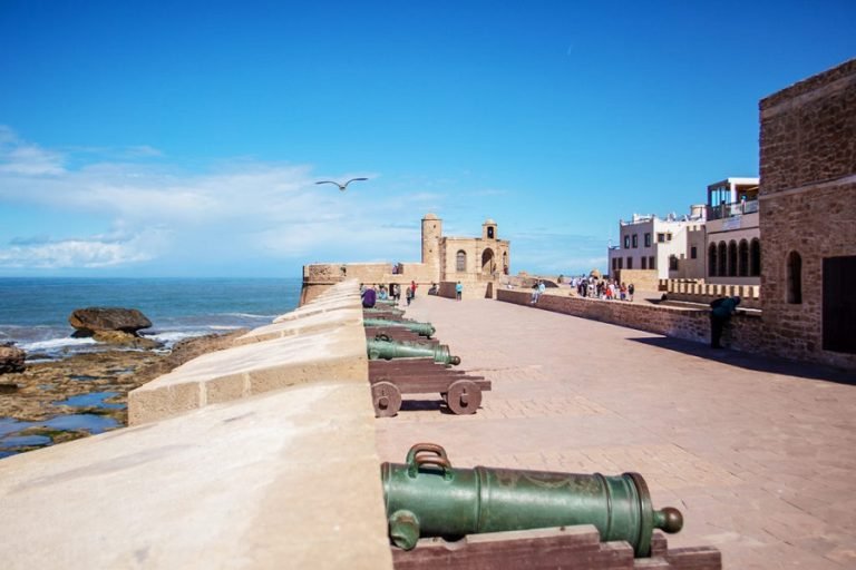 Excursion d'une journée à Essaouira