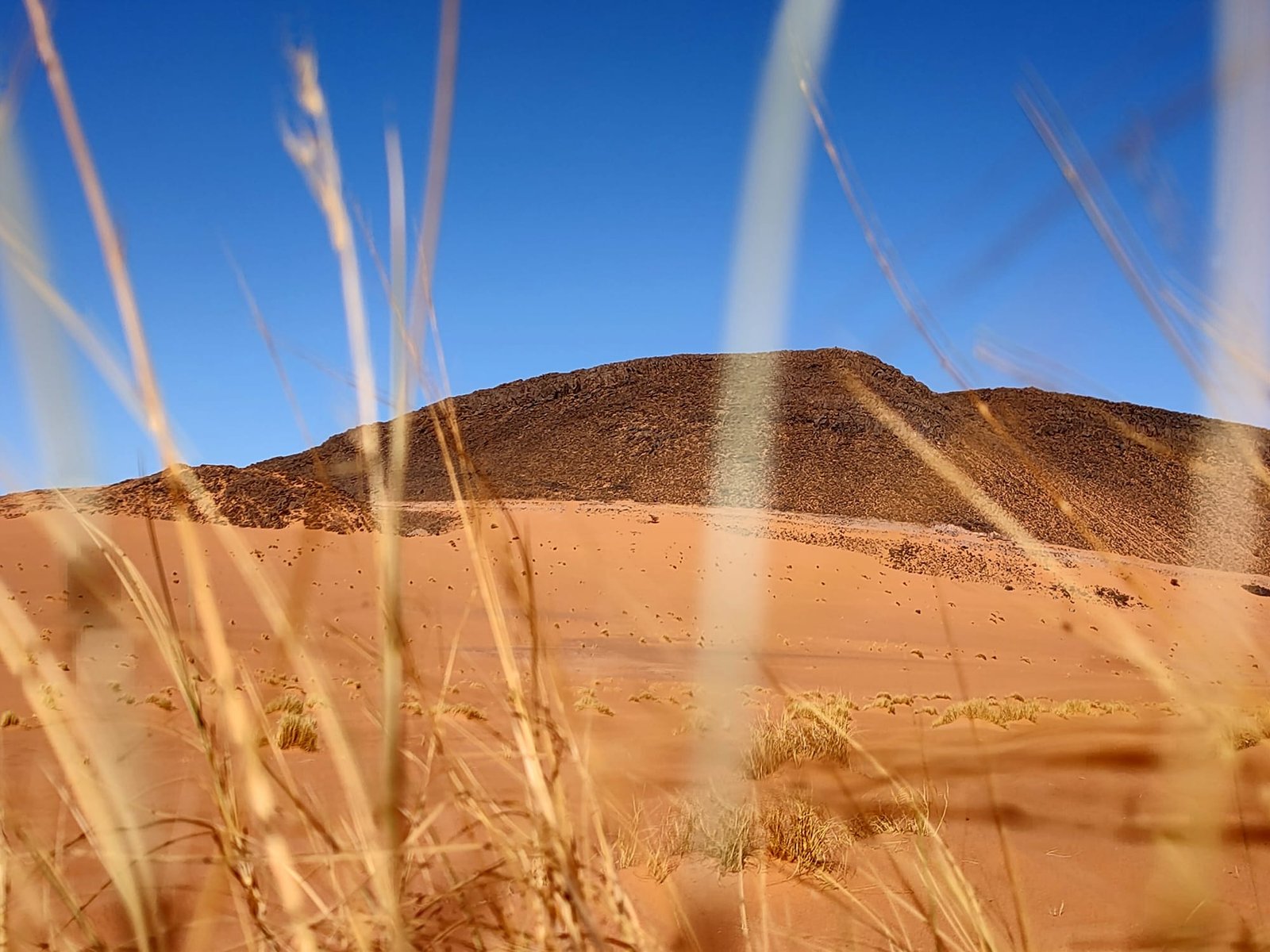 EXCURSION DÉSERT MAROCAIN & CIRCUIT SUR MESURE