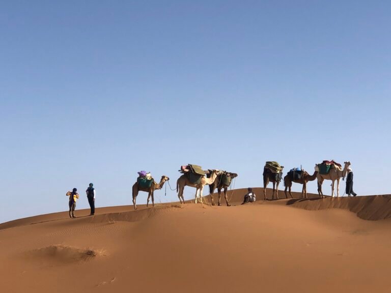 excursion desert