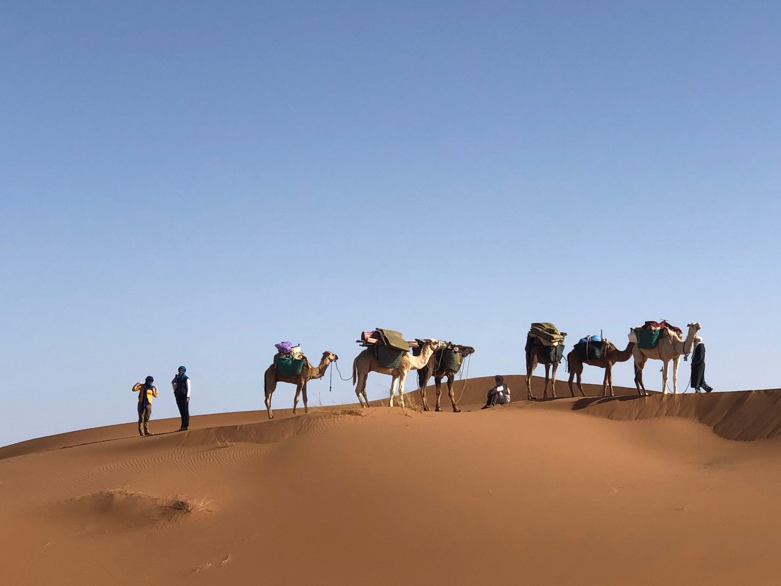 excursion desert