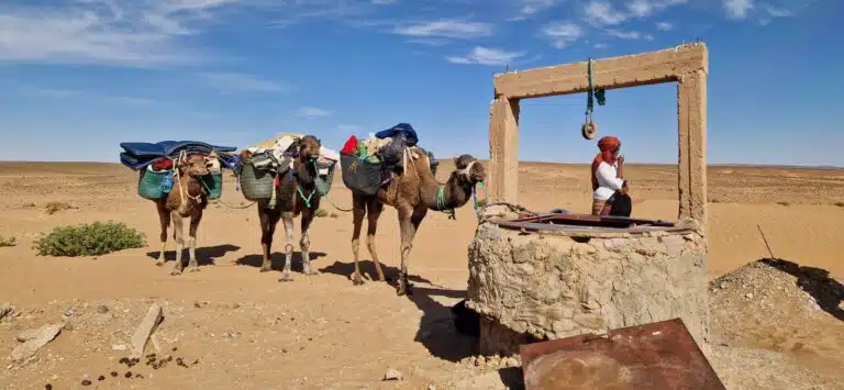 excursion desert