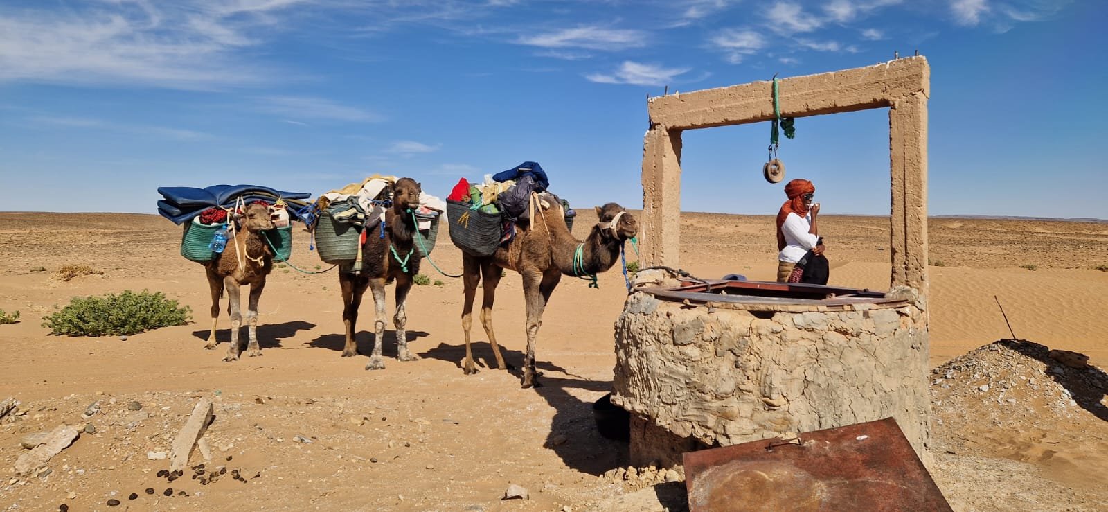 excursion desert